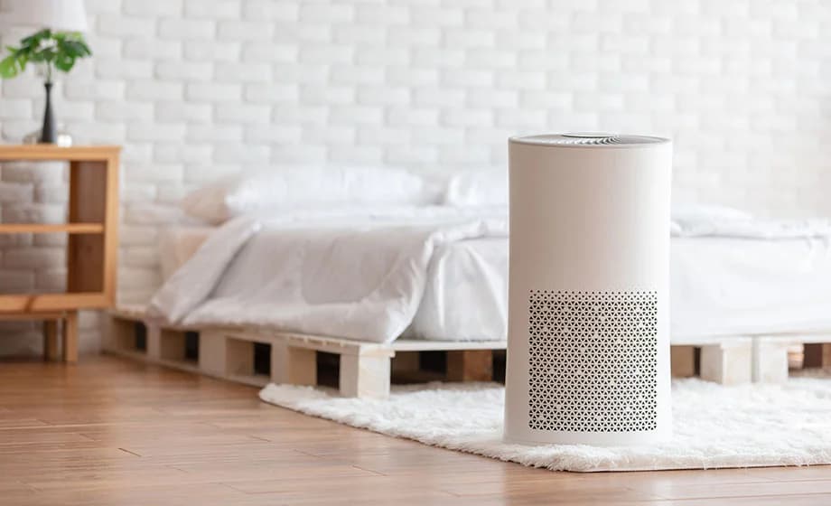 10 Meilleur purificateur d’air