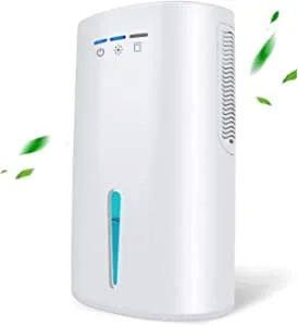Gocheer Déshumidificateur